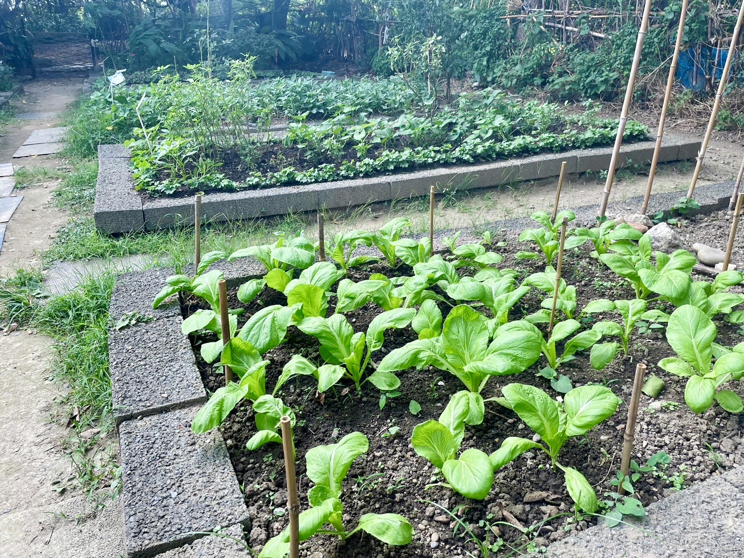 【招生公告】112年城市綠美學 新板可食地景體驗營